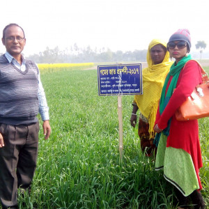 গম প্রদর্শনী