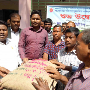 কৃষি প্রণোদনা বিতরণ